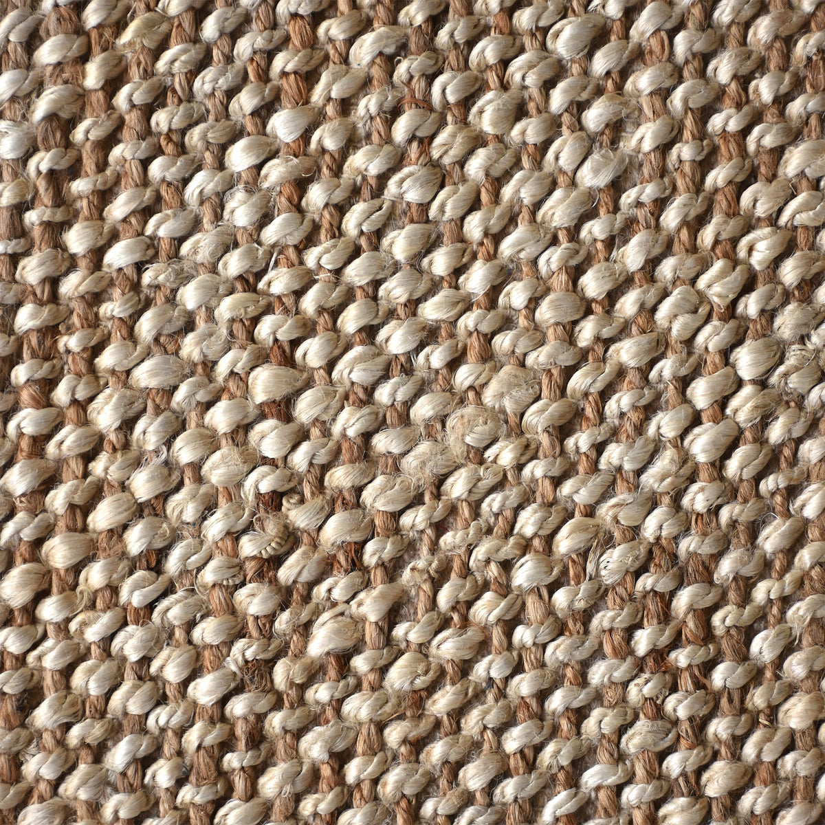 Chaukhat handwoven flatweave jute and wool rug in jute tan with a rust-brown border, in a living room